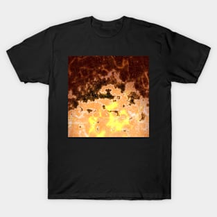 Fire T-Shirt